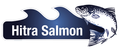 Hitra Salmon